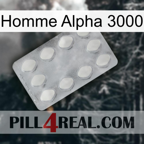 Alpha Man 3000 16